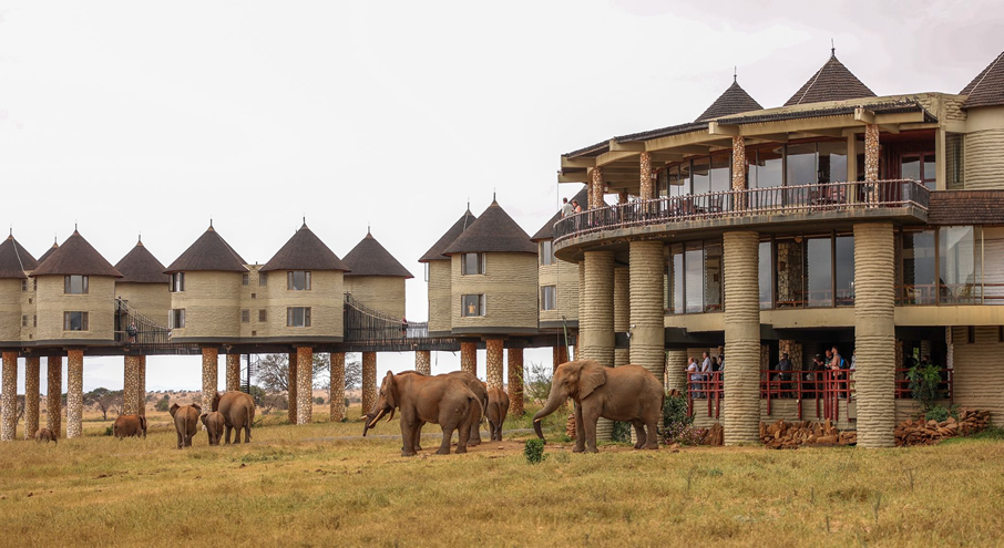 2 Days Tsavo East & Salt Lick Safari from Mombasa1
