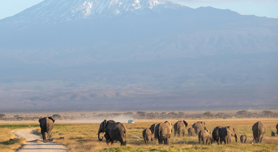 3 Days Tsavo East And Amboseli_1