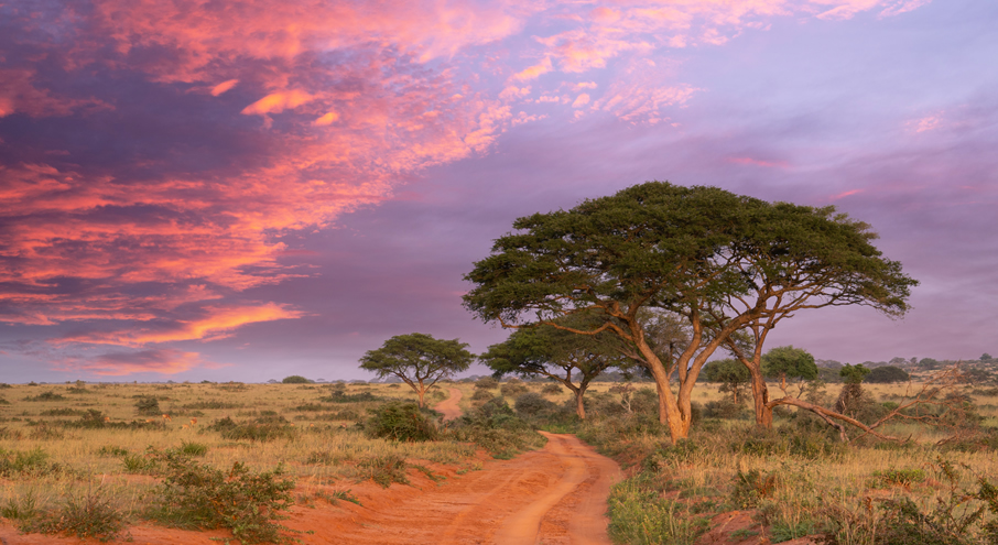 3 Days Tsavo East And Amboseli_3