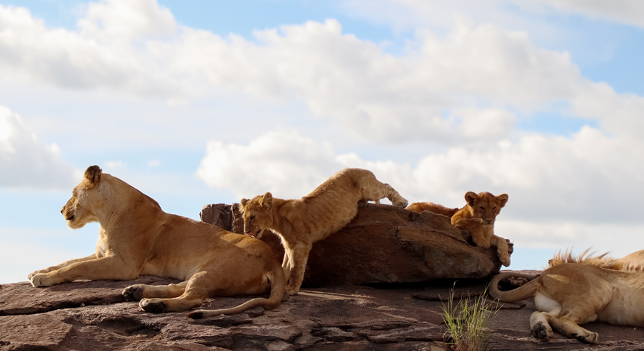 3 Days Tsavo East & Tsavo West Safari