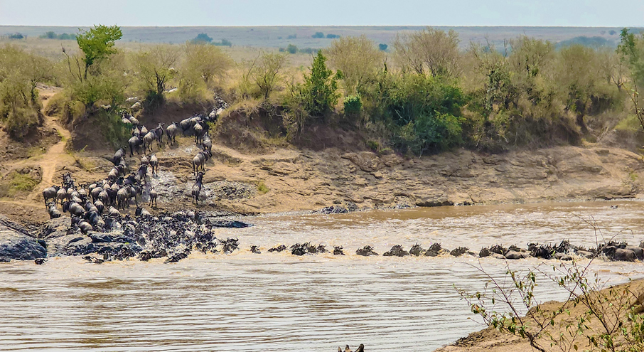 3 days maasai mara