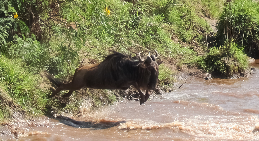 3 days maasai mara_1