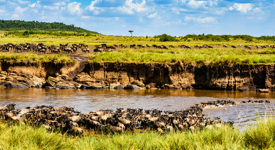 3 days maasai mara_4