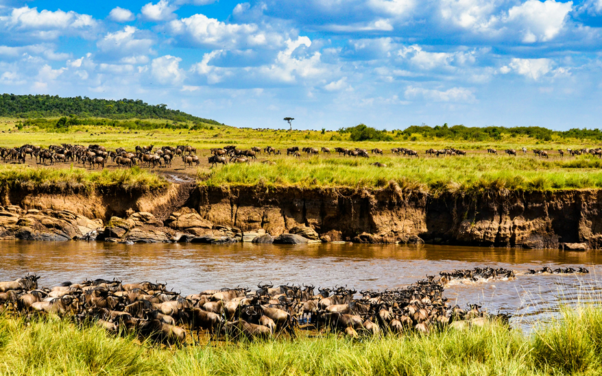 4-days-masai-mara-nakuru